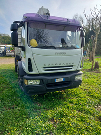 Eurocargo con ribaltabile e gru