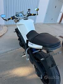 Triumph Speed triple 1050