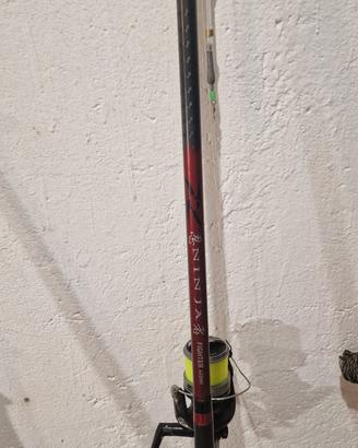 canna storione Daiwa ninja