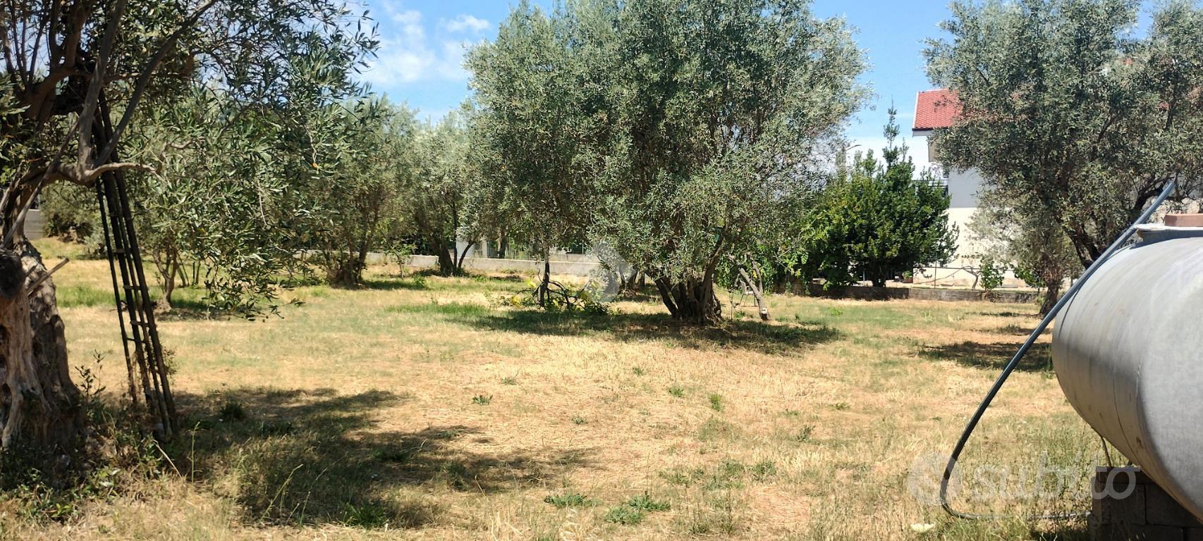 TER. RESIDENZIALE A MARANO PRINCIPATO - Vista 2