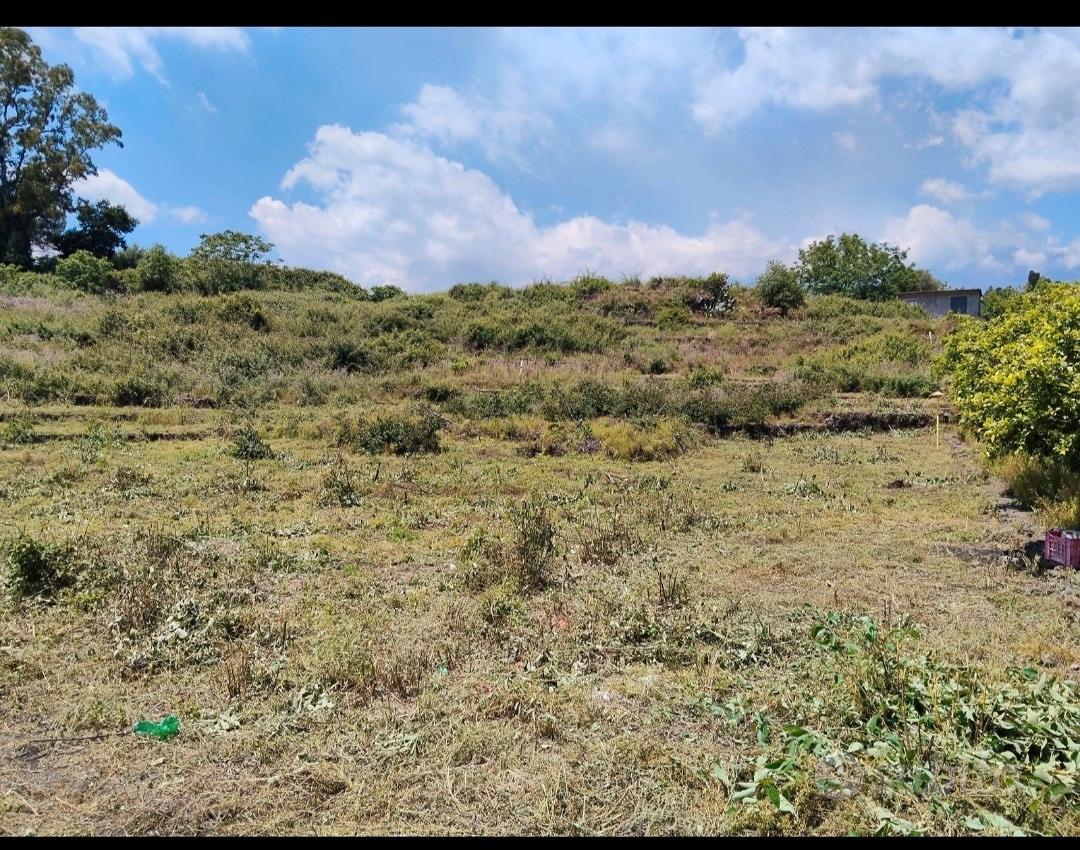 Terreno agricolo di 5050 m² - Vista 4
