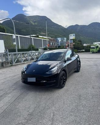 Tesla Model Y Long Range