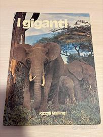 Libro “i giganti”
