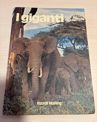 Libro “i giganti”