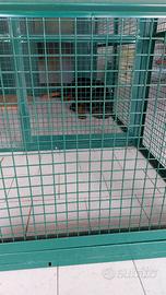 GABBIA PER CANE GROSSO
