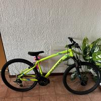 Mountain Bike Rockrider ST 100