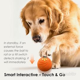 Palla interattiva per cani giocattolo intelligent
