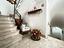 Immagine 11