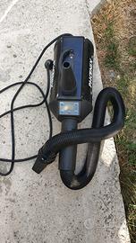 asciuga pelo per cani