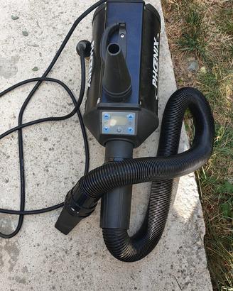 asciuga pelo per cani