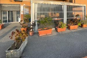 Attività commerciale - bar