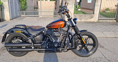 Street Bob 2023