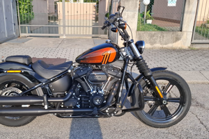 Street Bob 2023
