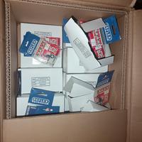 Pesca svendita lotto