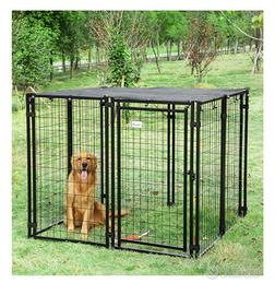 recinto per cani