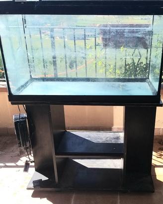 acquario 130 litri 
