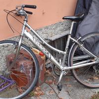 Bici da città 