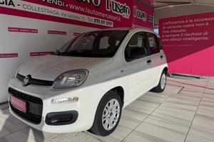 FIAT Panda 3ª serie Panda 1.2 Easy