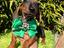 Immagine 5