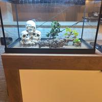 Acquario Amtra Tecnic 60 litri