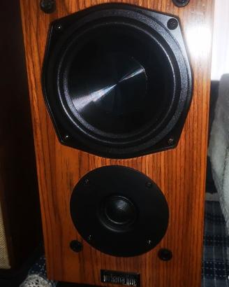 DIFFUSORI INDIANA LINE ARBOUR 5.30