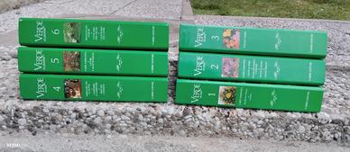 Verde in casa e in giardino