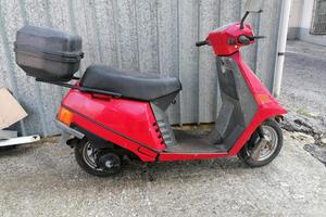 raro motorino piaggio scatto