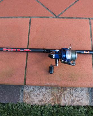 Canna da pesca con mulinello Shimano Nexave 2500 F