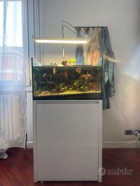 Acquario 120L