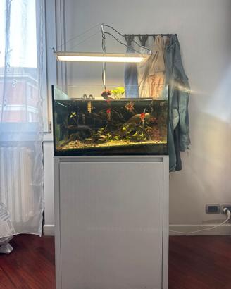Acquario 120L