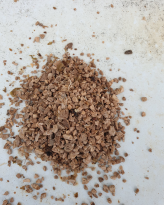 Nocciolino di oliva e pellet ingrosso