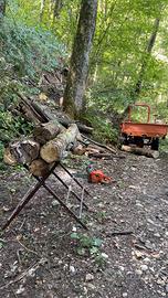 Bosco a foglia caduca, ideale per legna