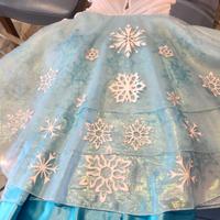 vestito carnevale  Elsa di Frozen Disney