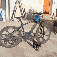 Bicicletta elettrica Celektron