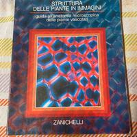 Libro universitario "struttura delle piante"