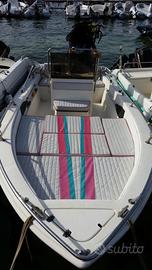 Power Craft 5,50 Mercury 40/60