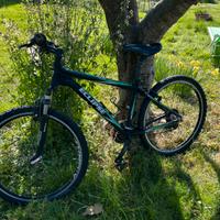 Bici Eclipse Hornet 22”