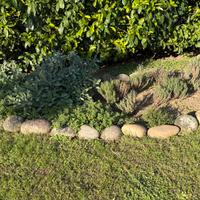 Sassi per bordure o decorazione giardino