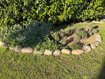 Sassi per bordure o decorazione giardino