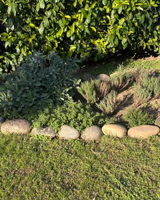 Sassi per bordure o decorazione giardino