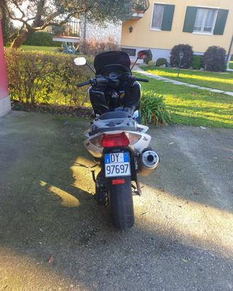 Scoter