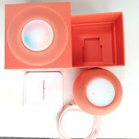 Homepod Mini