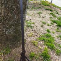 Bilancia anica per latte