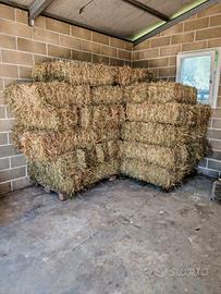 Fieno per animali