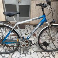 Bici City Bike 