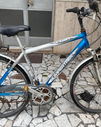 Bici City Bike 