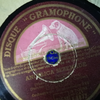 Dischi grammofono