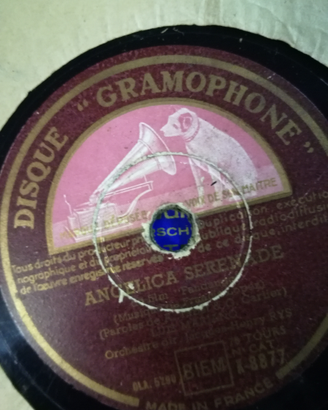 Dischi grammofono