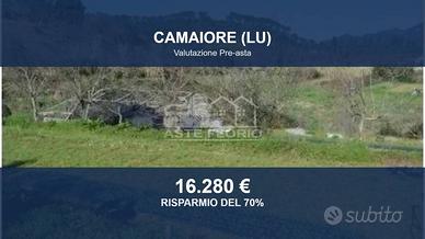 Immobile in asta di 16323 m² a Camaiore