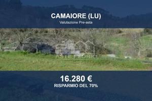 Immobile in asta di 16323 m² a Camaiore